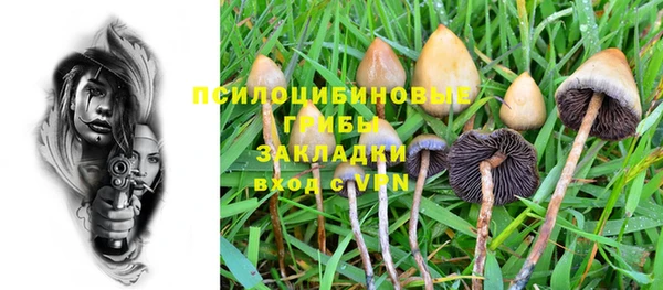 гидра Белоозёрский